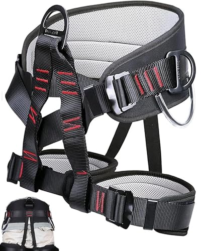 Climbing Harness