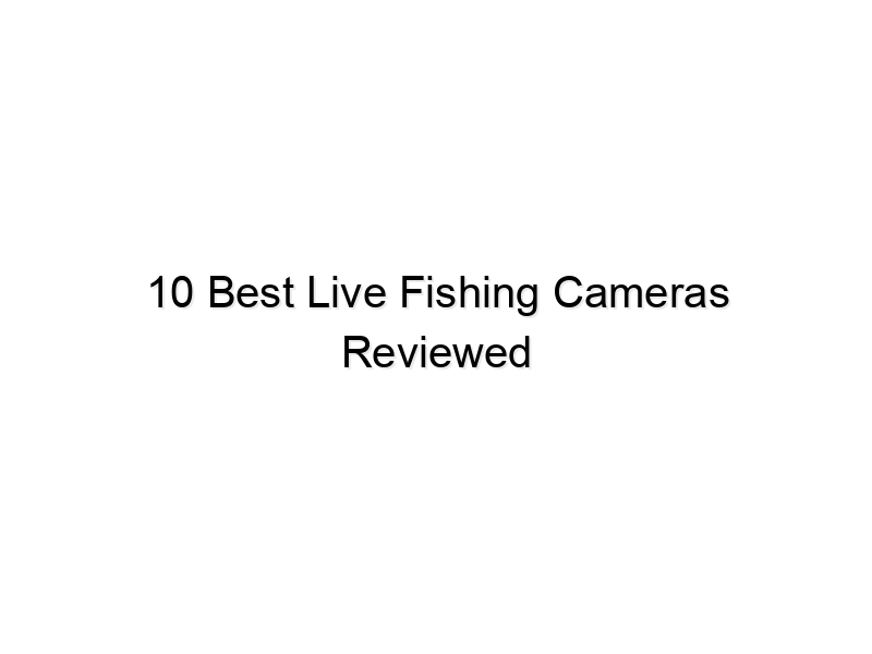 10 best live fishing cameras reviewed 720