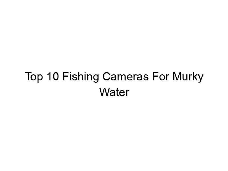 top 10 fishing cameras for murky water 718