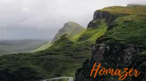 Top 10 best Fuel Additive For Gasoline Engines review