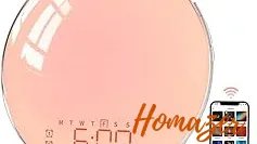 Top 5 best Alexa Sleep Routine Device