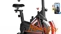 Top 5 best Exercise Bikes Under 300 review