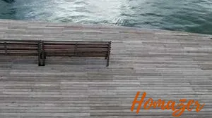 Top 5 best Sleep Analytics Dashboard