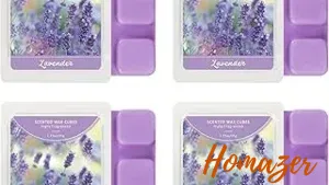 Top 5 best Wax Melt Warmer For Sleep to buy