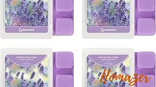 Top 5 best Wax Melt Warmer For Sleep to buy