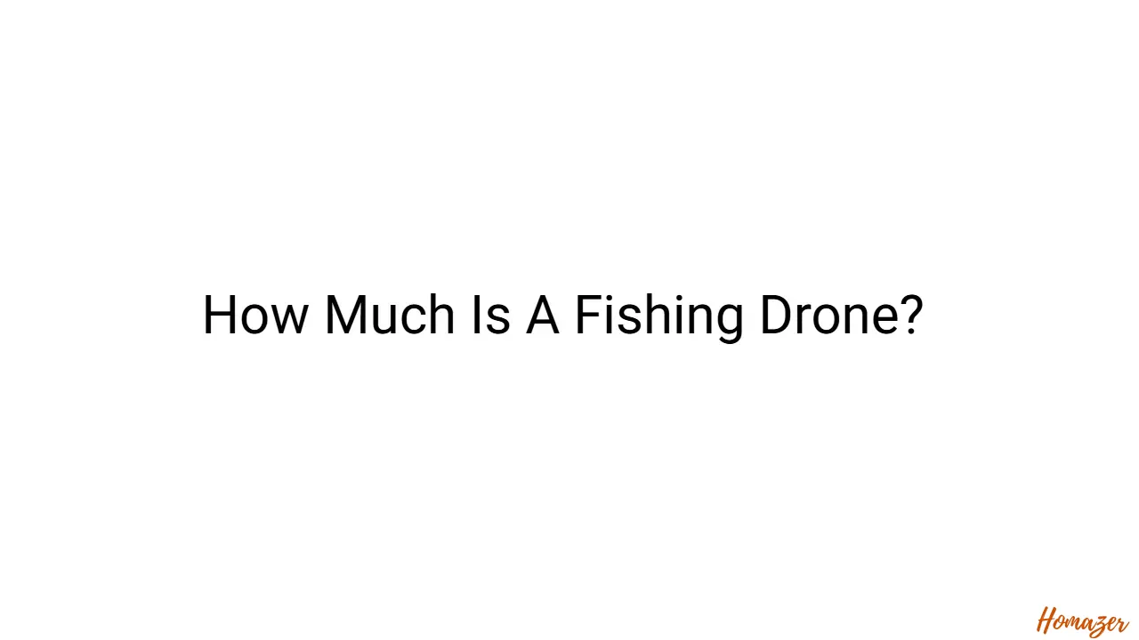 How Much Is A Fishing Drone?