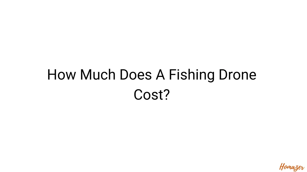 How Much Does A Fishing Drone Cost?