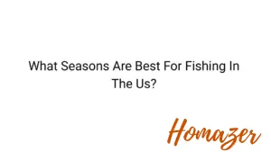 What Seasons Are Best For Fishing In The Us?