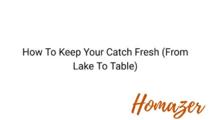How To Keep Your Catch Fresh (From Lake To Table)