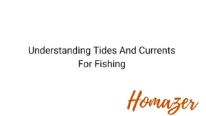Understanding Tides And Currents For Fishing
