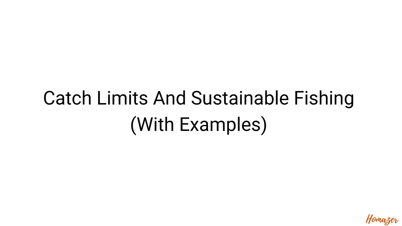 Catch Limits And Sustainable Fishing (With Examples)