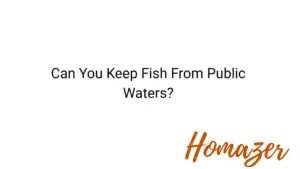 Can You Keep Fish From Public Waters?