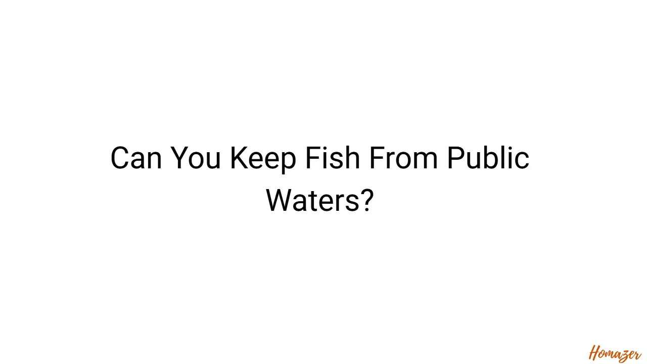 Can You Keep Fish From Public Waters?
