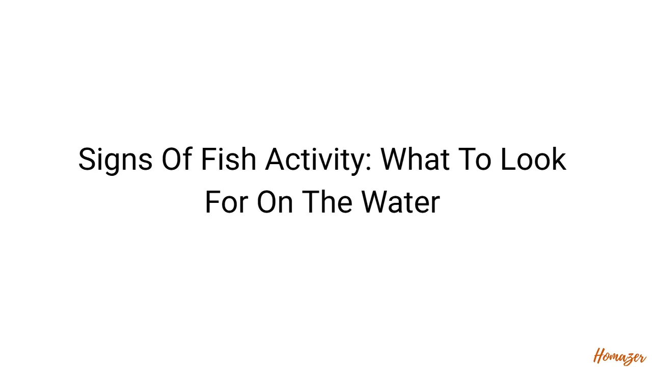 Signs Of Fish Activity: What To Look For On The Water