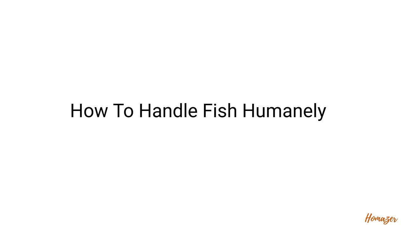 How To Handle Fish Humanely