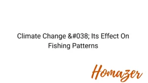Climate Change & Its Effect On Fishing Patterns