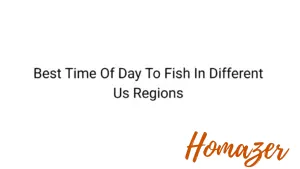 Best Time Of Day To Fish In Different Us Regions