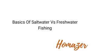 Basics Of Saltwater Vs Freshwater Fishing