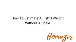 How To Estimate A Fish’S Weight Without A Scale