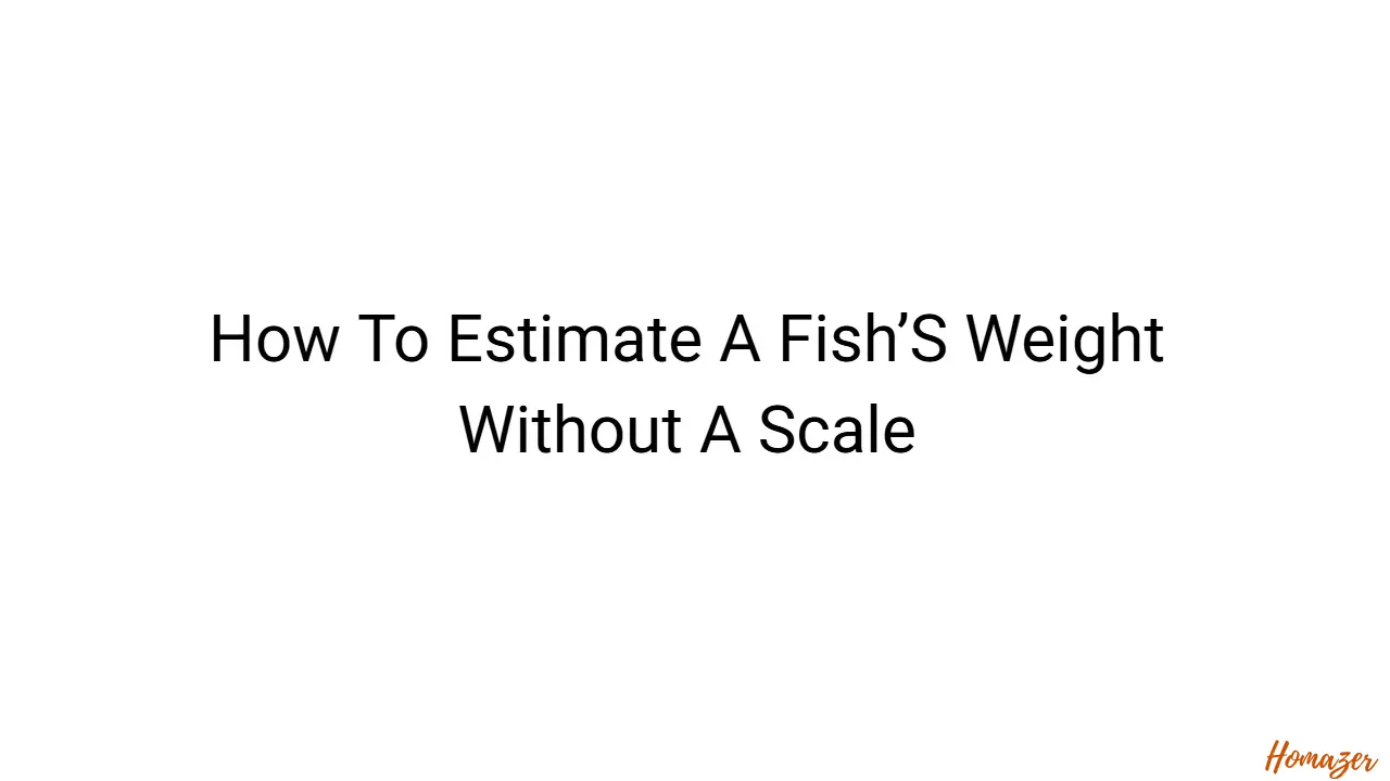 How To Estimate A Fish’S Weight Without A Scale