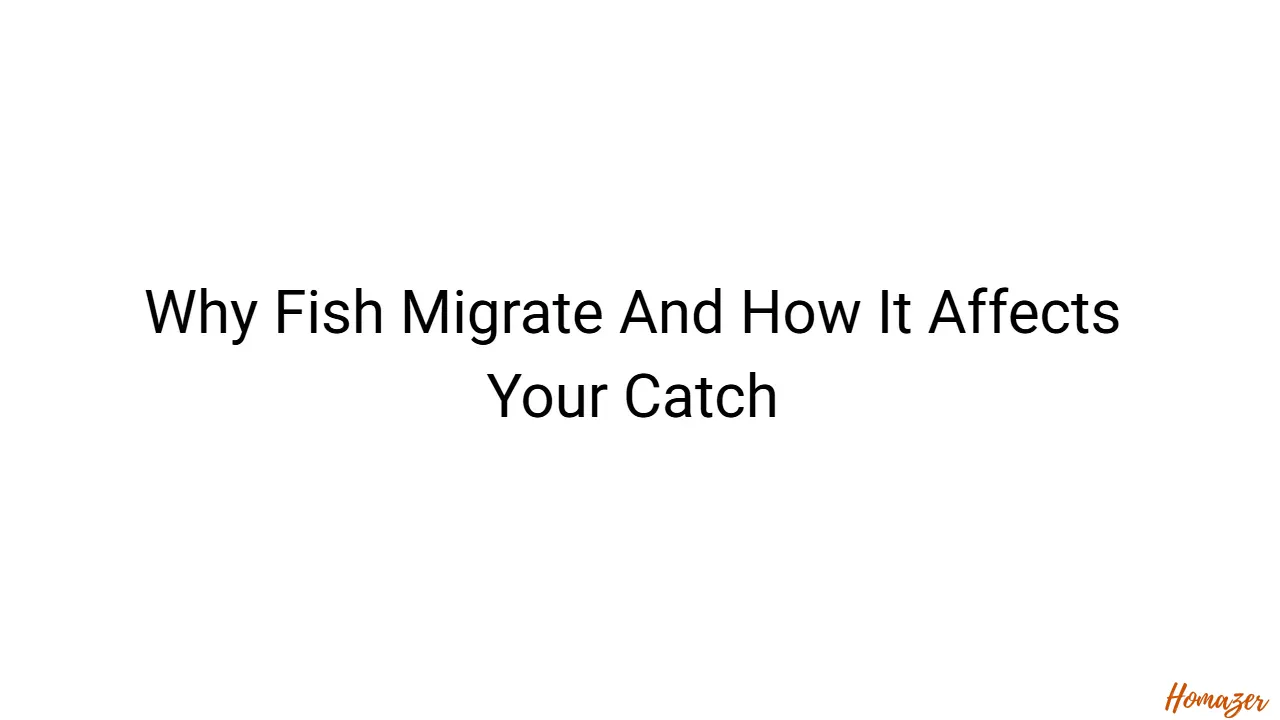 Why Fish Migrate And How It Affects Your Catch