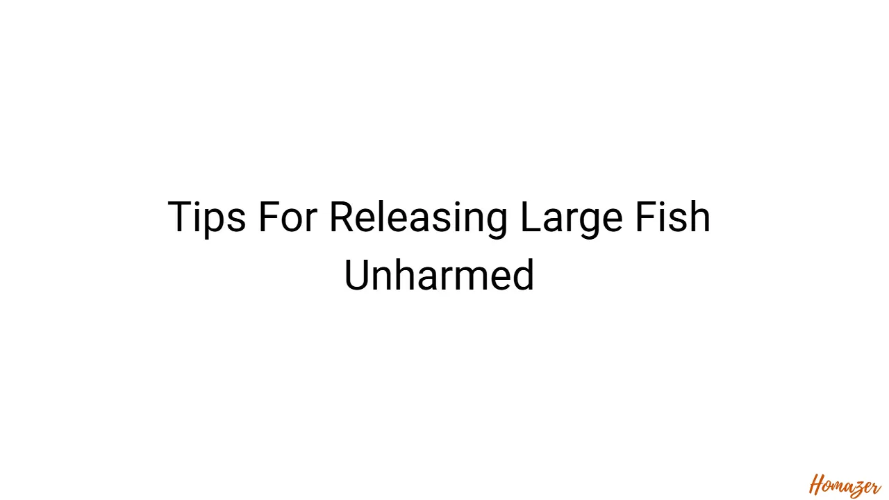 Tips For Releasing Large Fish Unharmed