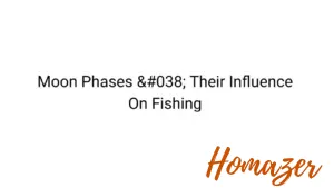 Moon Phases & Their Influence On Fishing