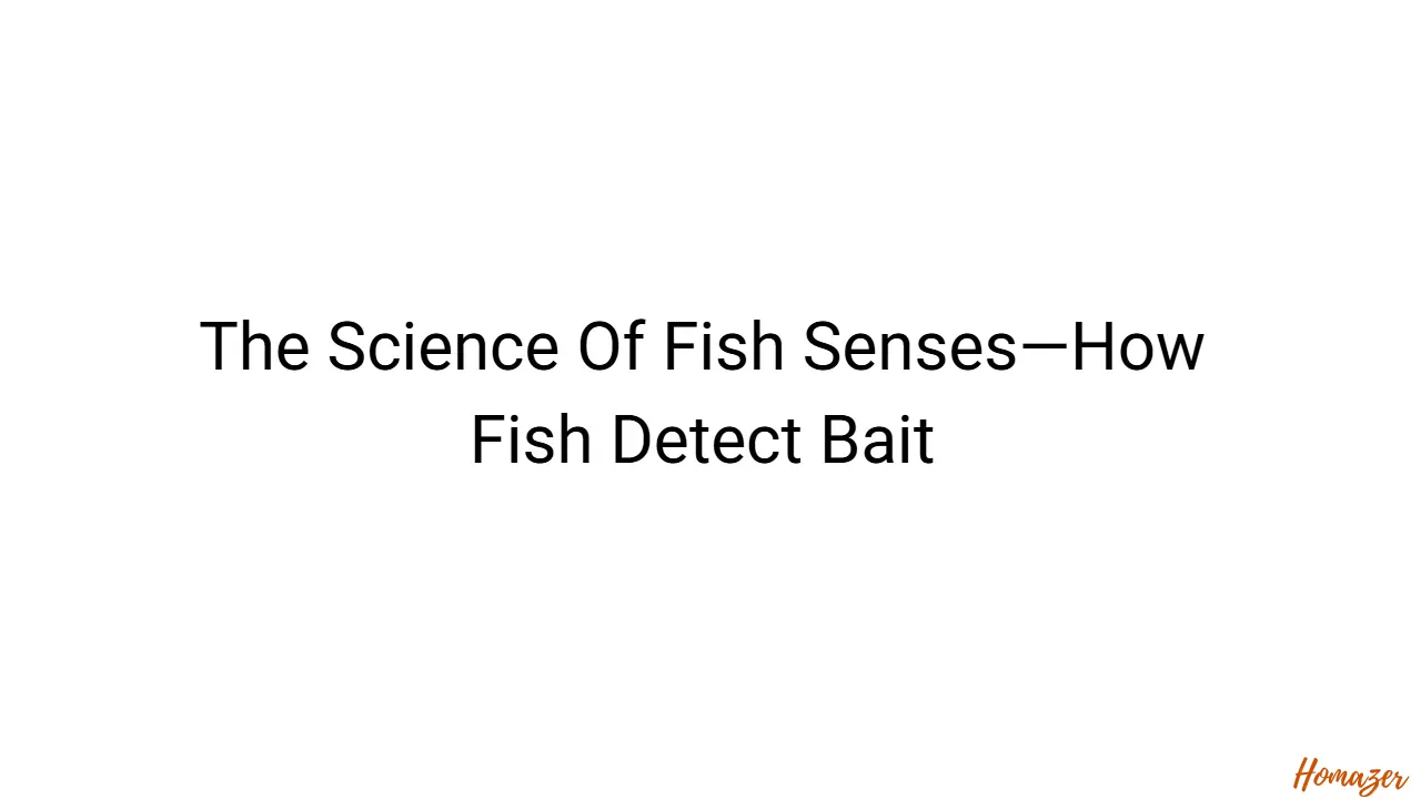 The Science Of Fish Senses—How Fish Detect Bait