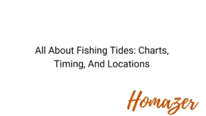 All About Fishing Tides: Charts, Timing, And Locations