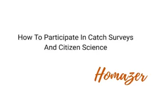 How To Participate In Catch Surveys And Citizen Science