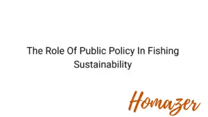 The Role Of Public Policy In Fishing Sustainability