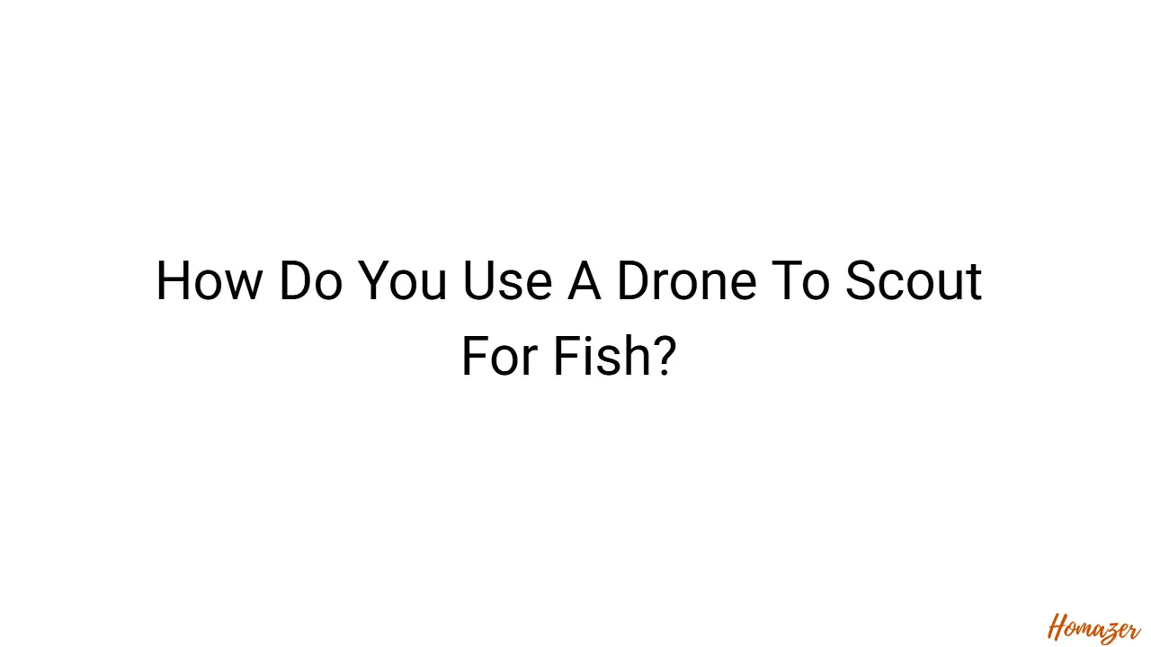 How Do You Use A Drone To Scout For Fish?