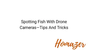Spotting Fish With Drone Cameras—Tips And Tricks