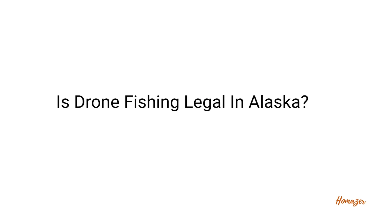 Is Drone Fishing Legal In Alaska?
