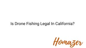 Is Drone Fishing Legal In California?