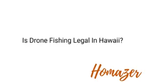 Is Drone Fishing Legal In Hawaii?