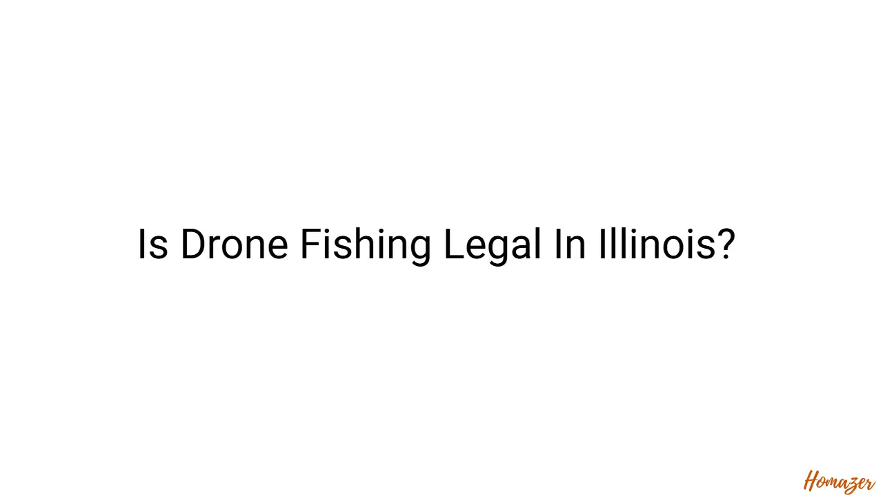 Is Drone Fishing Legal In Illinois?