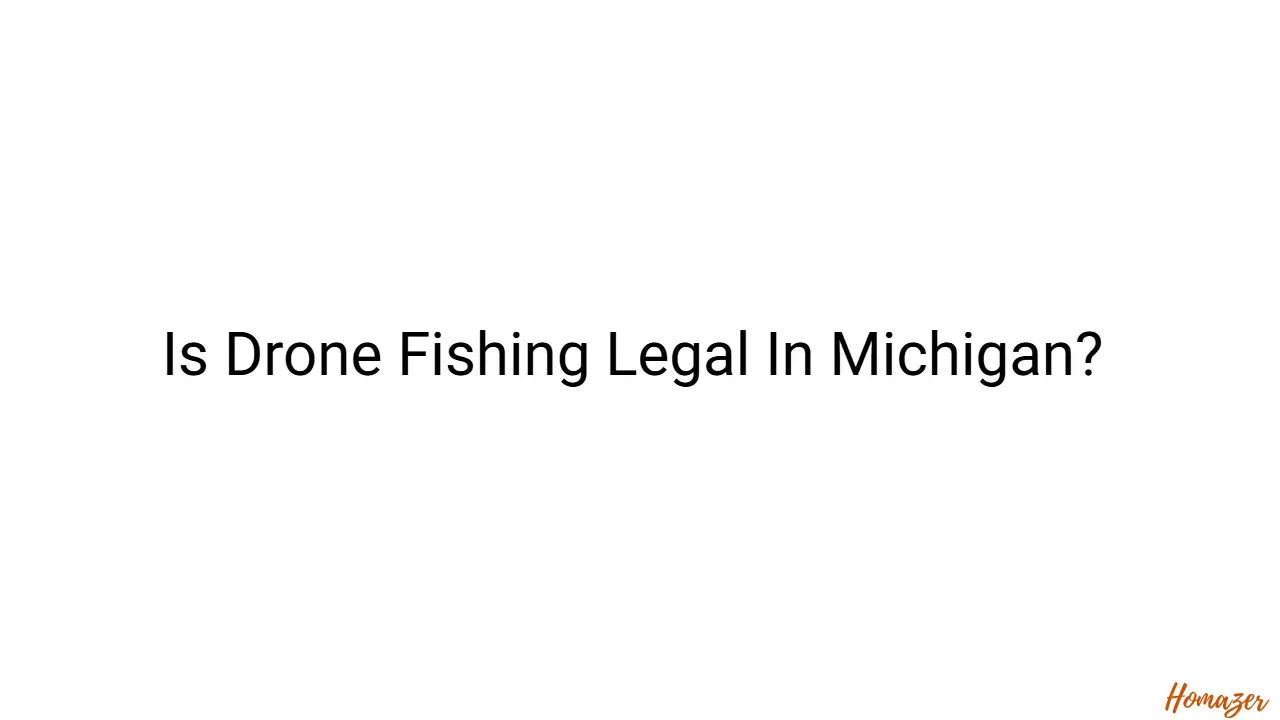 Is Drone Fishing Legal In Michigan?