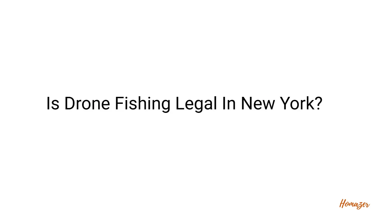 Is Drone Fishing Legal In New York?