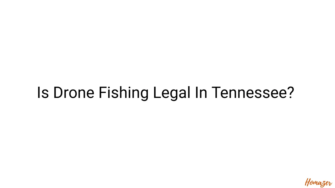 Is Drone Fishing Legal In Tennessee?