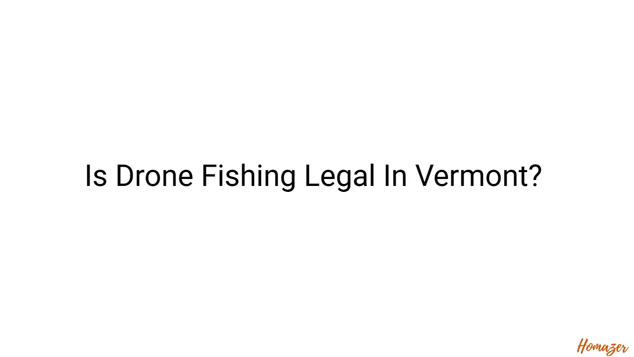 Is Drone Fishing Legal In Vermont?