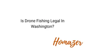 Is Drone Fishing Legal In Washington?