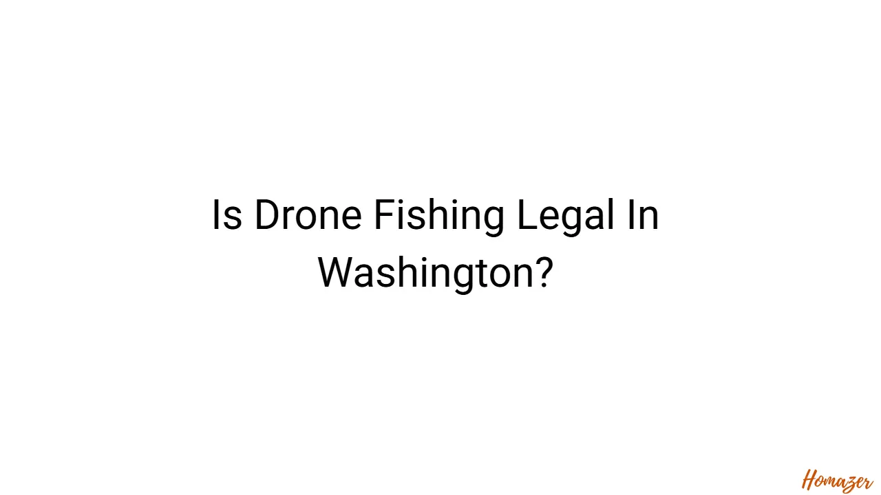 Is Drone Fishing Legal In Washington?